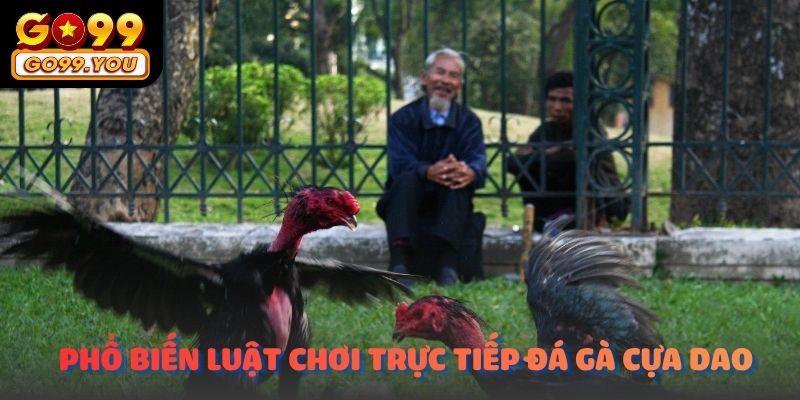 Phổ biến luật chơi Trực tiếp đá gà cựa dao hôm nay​ go99 cho các hội viên mới tham gia